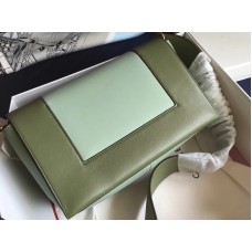 Celine Medium Frame Schultertasche aus Kalbsleder, blau und grün